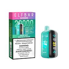 Elf Bar GH20K - Miami Mint | Vape Cloud Canada