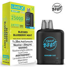 Level X Boost - Flavour Beast - Blessed Blueberry Mint | Vape Cloud Canada